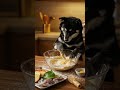 クロのあちあちクッキング🍳#柴犬 #犬 #天ぷら #shibainu #dog #西巴犬 #바견 #tempura