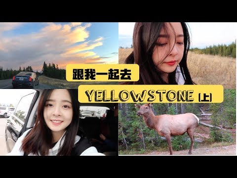 跟我一起去黄石国家公园吧 | Yellowstone Vlog | 看见野生动物! | 超美日落 | 中秋节的月亮好圆好美