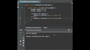 Java Integer Wrapper class | FunWithSnippets #Shorts #Fun #Snippets #Java #Education