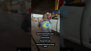#agro #soja #agrotaigo #viral #agronegocio
