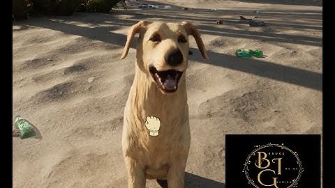 Lets clean it up! | Restore Your Island | Demo | No Comment