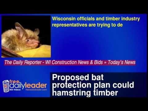 camera iphone 8 plus apk Proposed bat protection plan could hamstring timber industry (UPDATE)