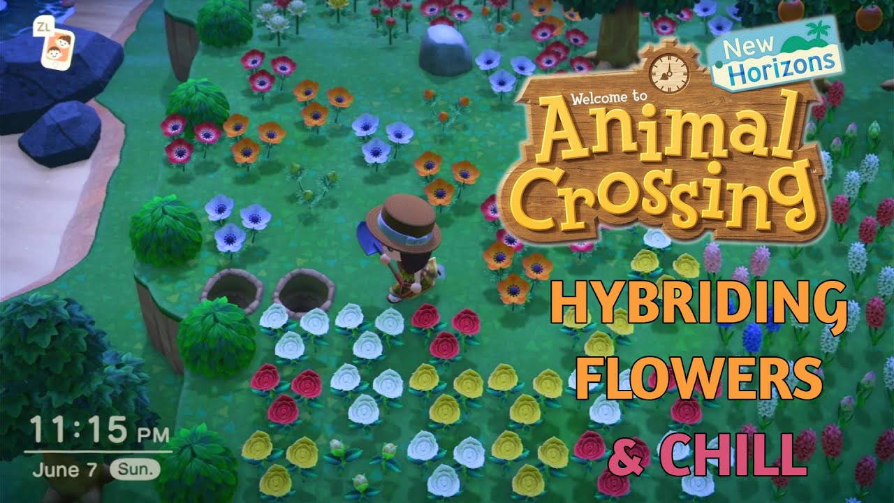 Animal Crossing: Crossbreeding Flowers & Chill | NUBBQUEEN