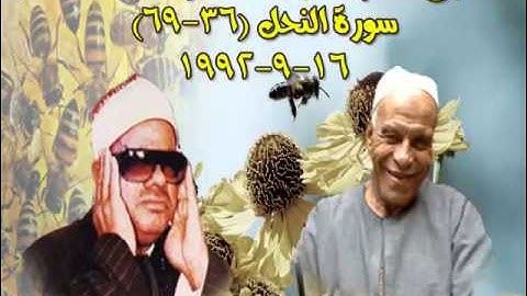 الشيخ / عنتر سعيد مسلم $ سورة النحل (36-69)(ولقد بعثنا فى كل أمة رسولا) بتاريخ 16-9-1992م