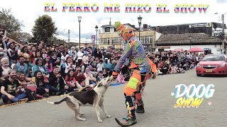 Un PERRO puso en problemas a KARCOCHA en Colombia