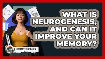 What Is Neurogenesis, And Can It Improve Your Memory? - Ultimate Study Hacks