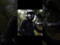 Win A Hero Xpulse - Here Is How! #shorts