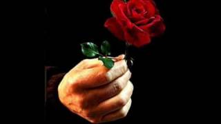 Goodnight My Love (Pleasant Dreams) - John Rinaldi