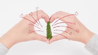 Create Memories, Not Garbage – Tree Recycling Tips