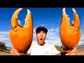 GIANT CRAB Catch and Cook - BOW n ARROW vs FISH.  EP 92