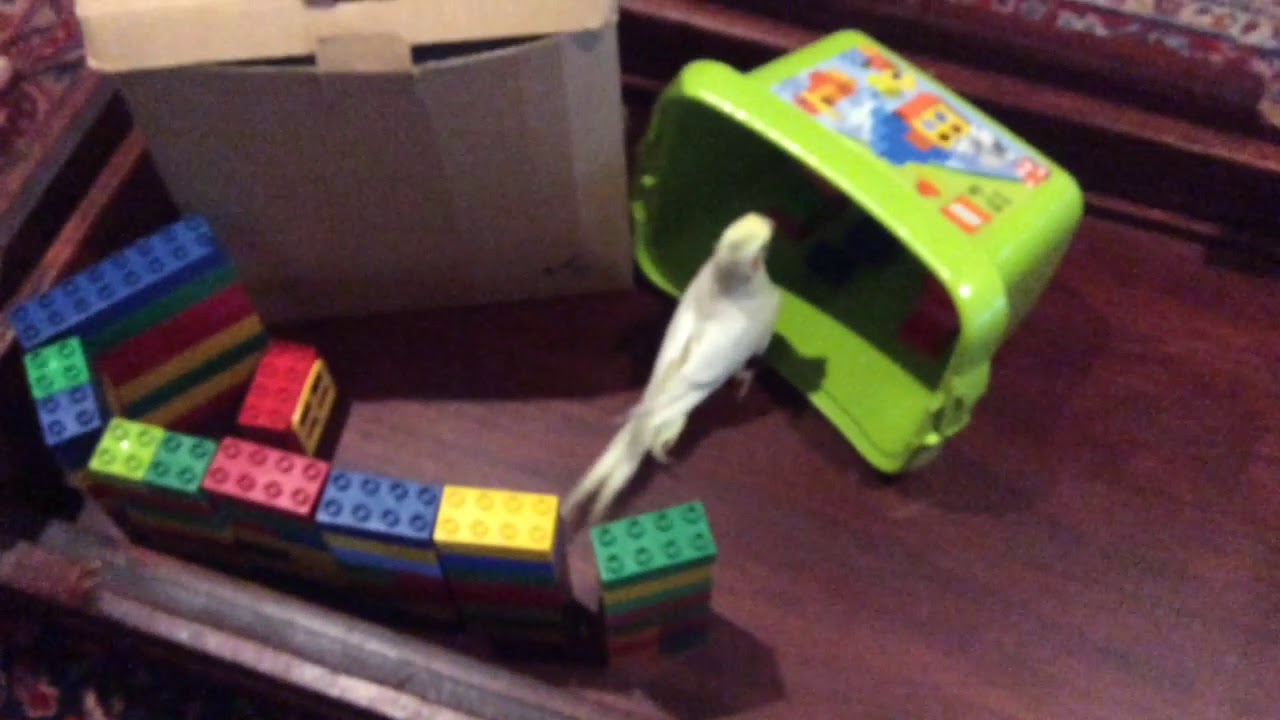 The Escape Challenge - YouTube