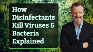 How Disinfectants Kill Viruses & Bacteria Explained