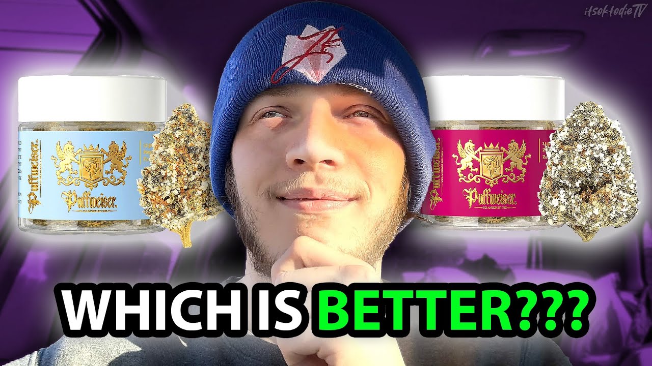 Cail Kush Vs RS11 Which is better!? PuffWeiser Edition👑😶‍🌫️ 