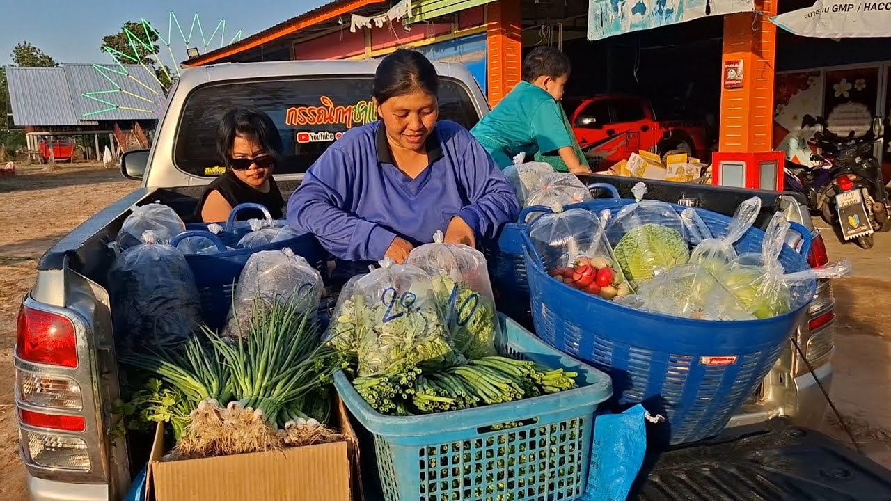 ขนผักมาเต็มคันรถลูกค้ารุมซื้อดีมากขอบคุณออเดอร์เหมาๆหมานๆม่วนสุดๆ