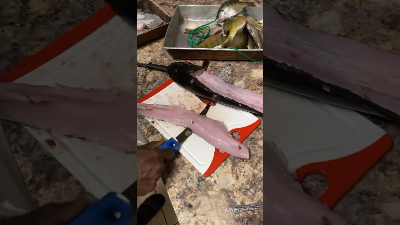 Мальки змееголова‼️