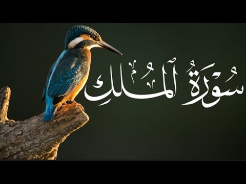 Sarah AL Mulkh Tilawat Quran Surah Mulkh - YouTube