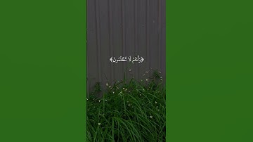 ليس عليك هداهم ولكن الله يهدى من يشاء -سورة البقرة |القارى عبدالرحمن مسعد #quran #رحيق_الايمان