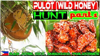 EP89-Part1 - Pulot Pukyutan (Wild honey) Hunt 'n Cook | Buffalo Wings | Occ. Mindoro
