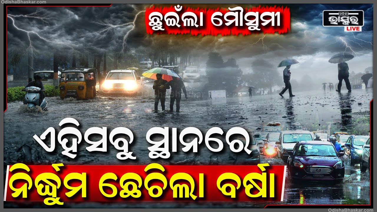 ଛୁଇଁଲା ମୌସୁମୀ, ଏହିସବୁ ସ୍ଥାନରେ ବିଜୁଳି ଘଡଘଡି ସହ ରାତିରୁ ନିର୍ଦ୍ଧୁମ ଛେଚୁଛି ବର୍ଷା