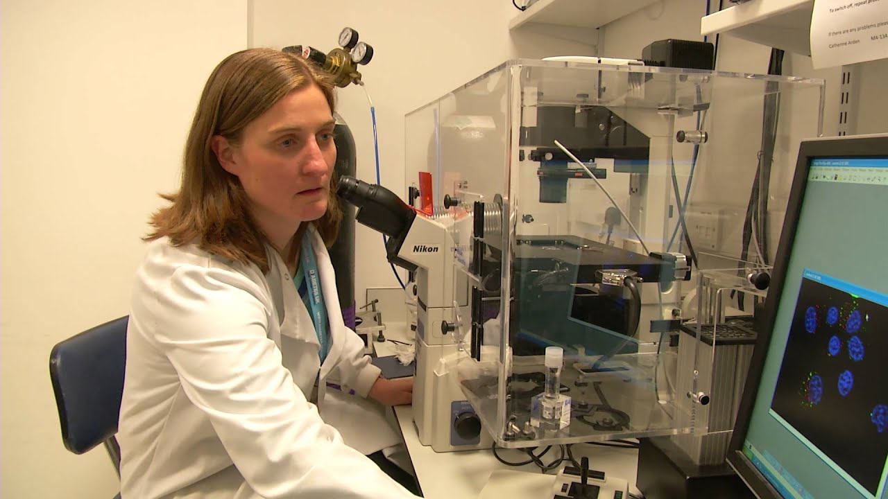 The Regenerative Medicine for Diabetes Group at Newcastle University