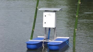 Lắp đặt thiết bị quan trắc và cảnh báo chất lượng nước ao nuôi cá tự động tại Tân Thạnh - Vĩnh Long