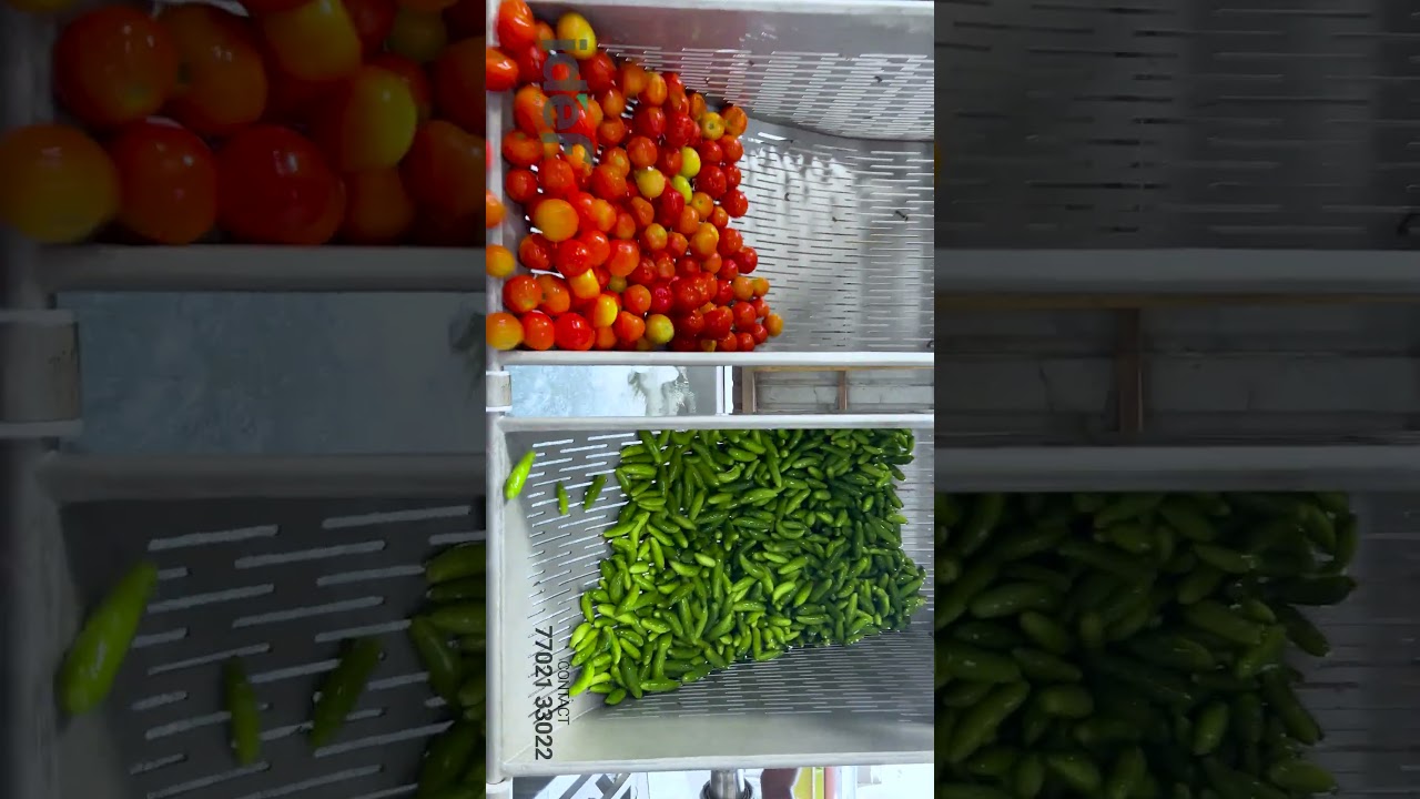 Bubble Washer Tilting Type, Basket Washer, Vegetable Washer