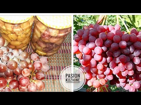 Video: Komposto rrushi për dimër