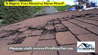 5 Signs You Need a New Roof