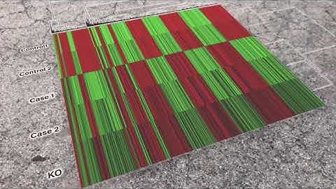 Complex heatmap in AR