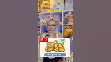 My BIGGEST QUESTIONS About Animal Crossing