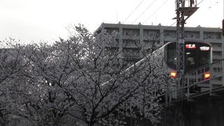【桜】JR西日本 323系 普通大阪方面行 桜ノ宮駅 発車(後追い)