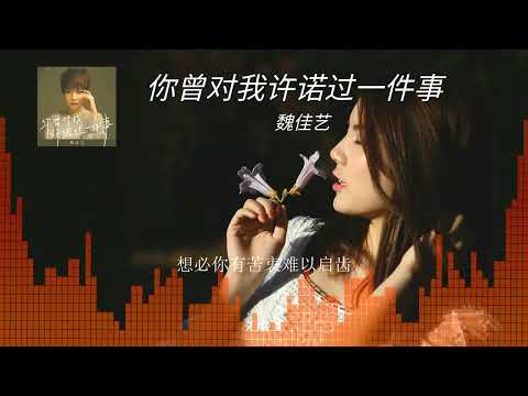 2023華語網絡流行音樂 ||《你曾對我許諾過一件事》|| 魏佳藝 || 動態歌詞