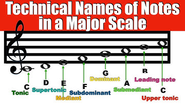 Technical Names of Scale notes : Theory Lesson