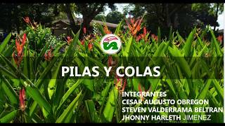 PILAS Y COLAS EN JAVA (NETBEANS)