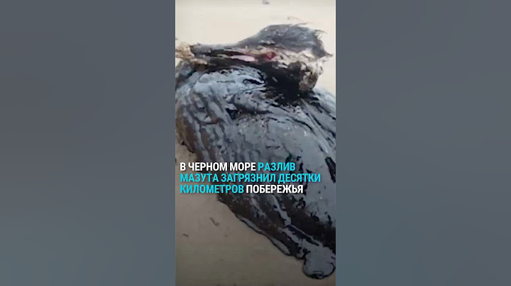 В Черном море разлив мазута загрязнил десятки километров побережья
