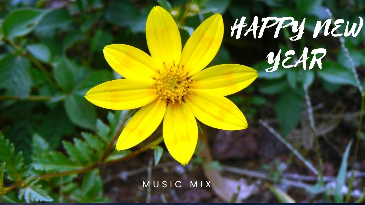 ⁣Ethiopian New Year Music Collection | የአዲስ ዓመት ሙዚቃዎች ስብስብ