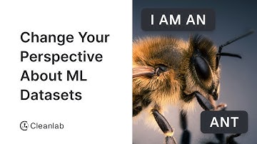 This Will Change Your Perspective About ML Datasets