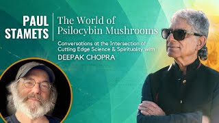 The World of Psilocybin Mushrooms