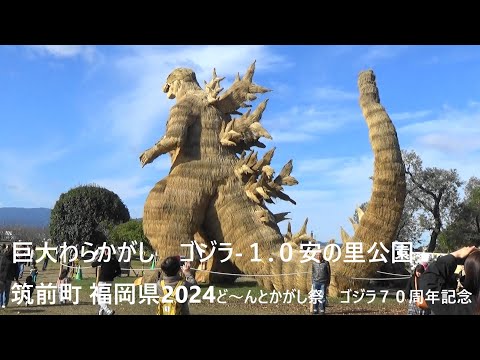巨大わらかがし ゴジラ-1.0安の里公園 筑前町 福岡県2024