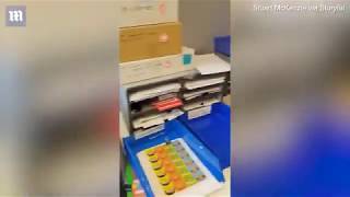Famous Terrifying moment a massive 1.5m-long carpet python is found hiding inside an office desk Profile