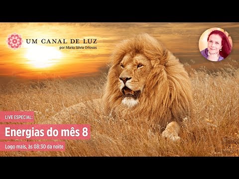 Energias do Mês 8 - Energias do Mês 8