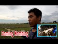 vlog#33 UPDATE SA MGA ALAGANG BIBE + GALANG MGA KAMBING