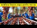 ফ্যাক্টরিতে কিভাবে খেজুর প্রসেসিং করা হয়॥ How Dates Are Processed In The Factory.