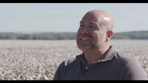 Switching to PhytoGen® W3FE varieties