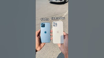 iPhone 12 Pro Vs iPhone 12 Pro Max || Camera Test ! #shorts