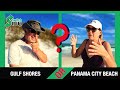 Gulf Shores vs Panama City Beach. Which is better for you?