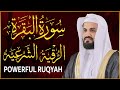 سورة البقرة كاملة للشيخ رعد الكردي ~طاردة الشياطين | Surat Al-Baqarah | Raad Al-Kurdi