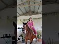 Riding a horse #ride #horse #ai #higlights #fyp