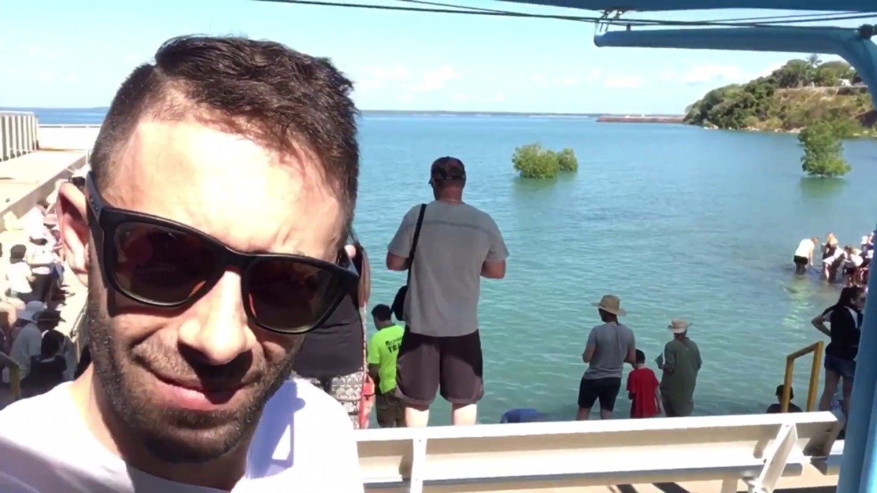 Aquascene Fish Feeding Sanctuary Darwin NT Australia