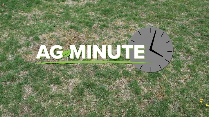 Ag Minute #1018 Gypsum (Air Date 8-23-20)